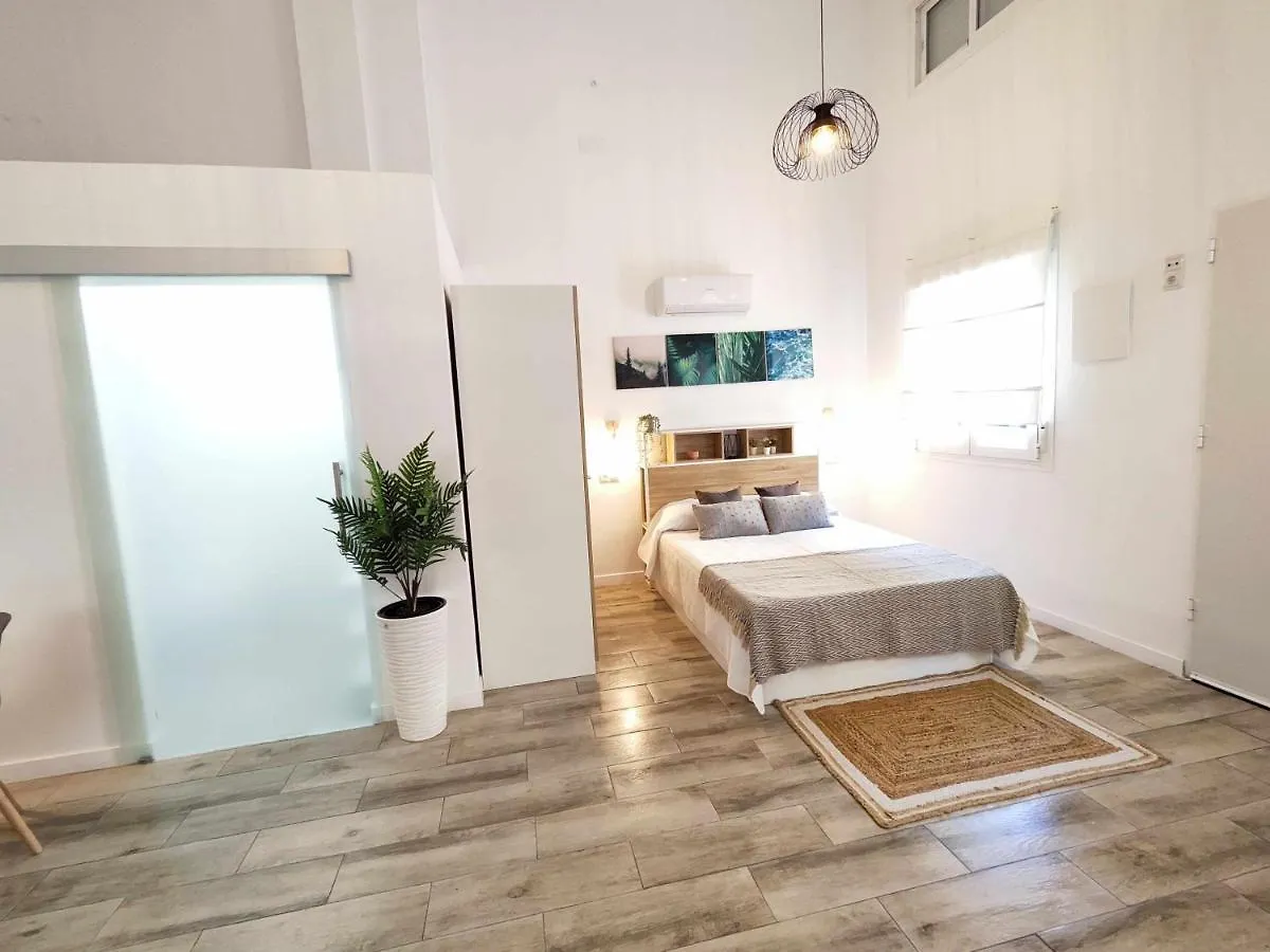 La Victoria Suites Málaga 0*,